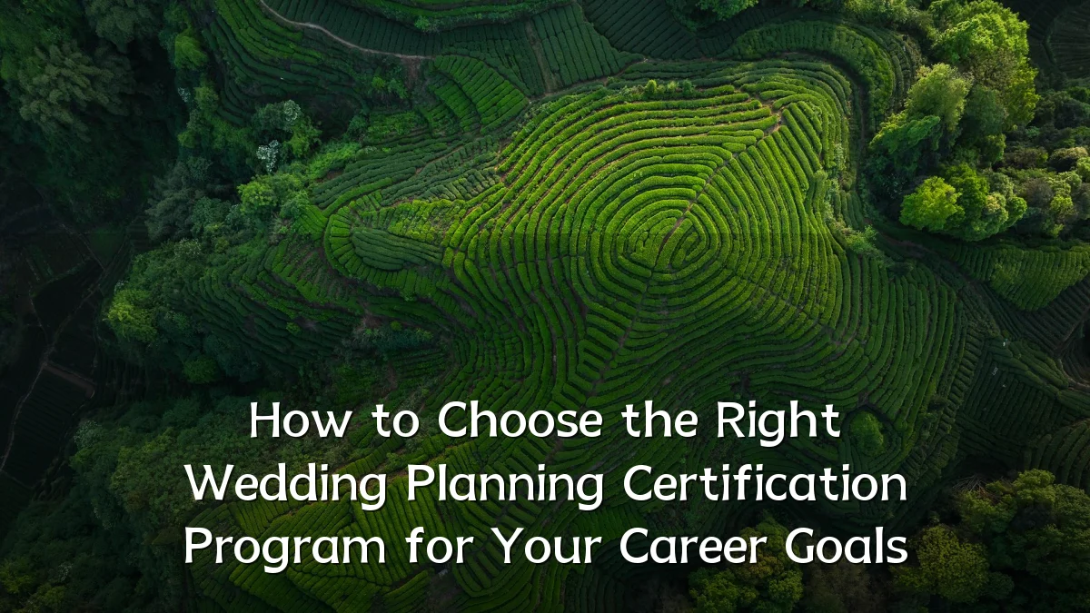 How to Choose the Right Wedding Planning Certification Program for Your Career Goals