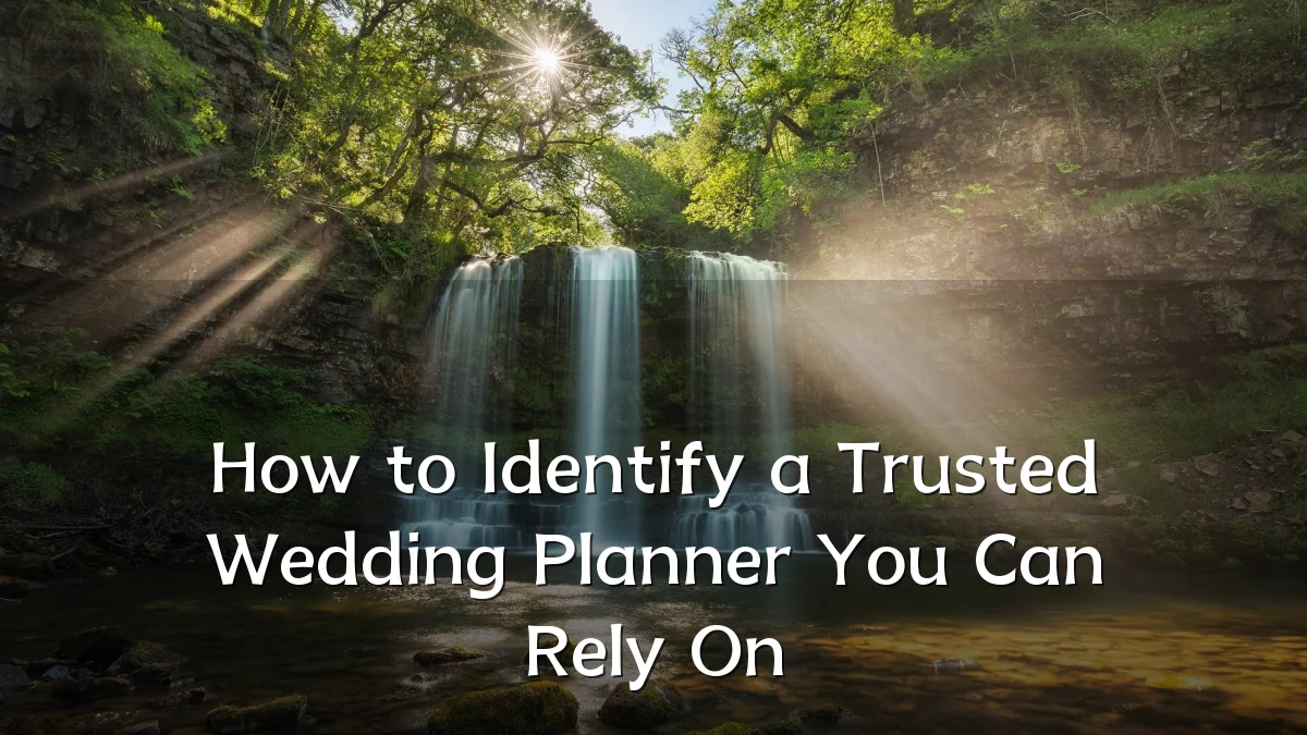 How to Identify a Trusted Wedding Planner You Can Rely On
