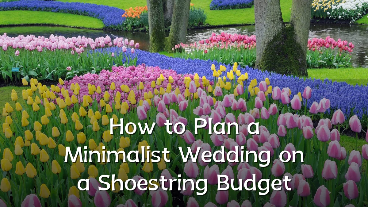 How to Plan a Minimalist Wedding on a Shoestring Budget