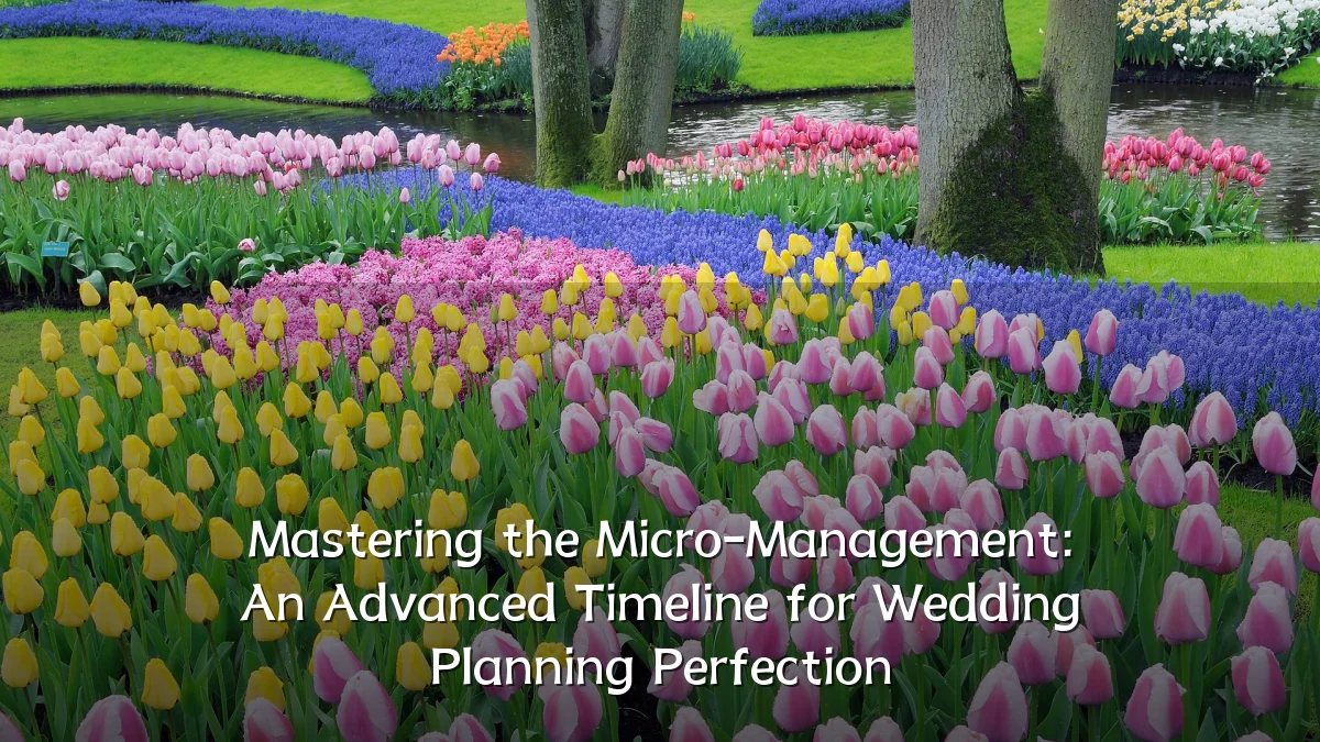 Mastering the Micro-Management: An Advanced Timeline for Wedding Planning Perfection