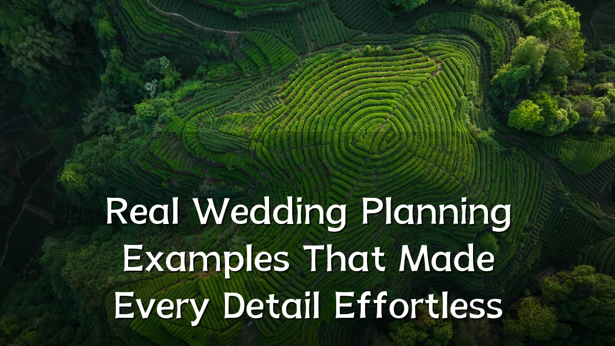 Real Wedding Planning Examples That Made Every Detail Effortless