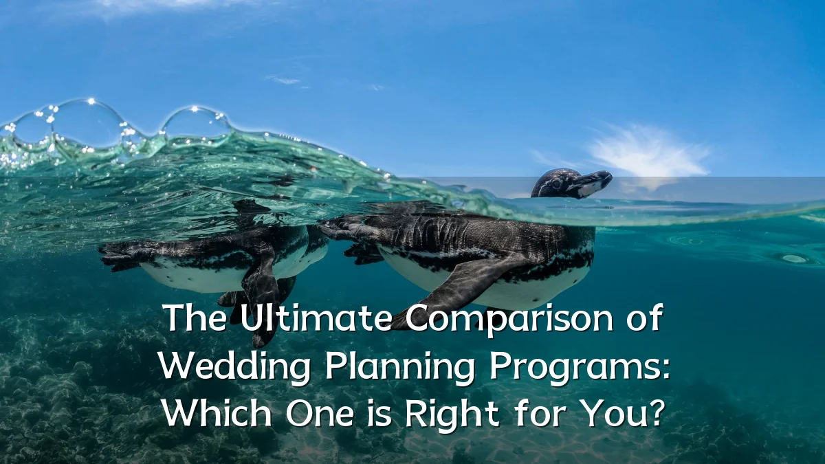 The Ultimate Comparison of Wedding Planning Programs: Which One is Right for You?