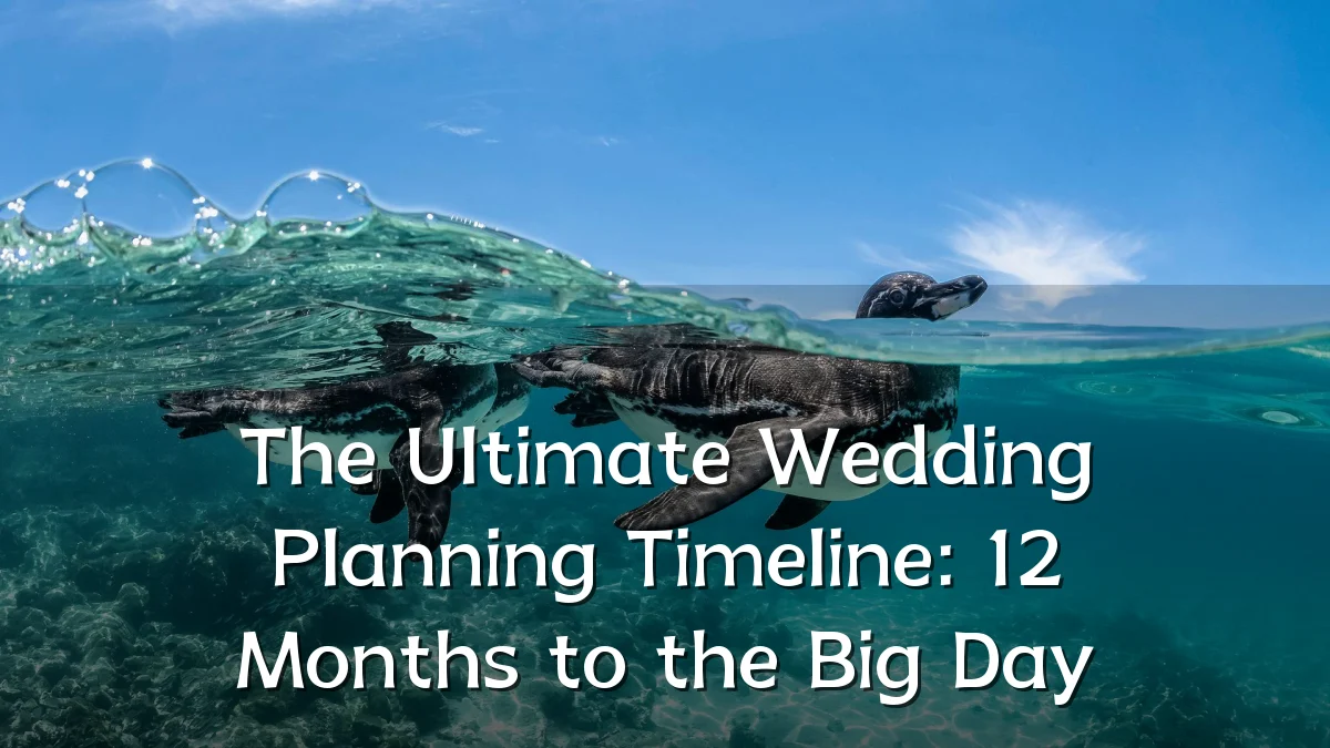 The Ultimate Wedding Planning Timeline: 12 Months to the Big Day