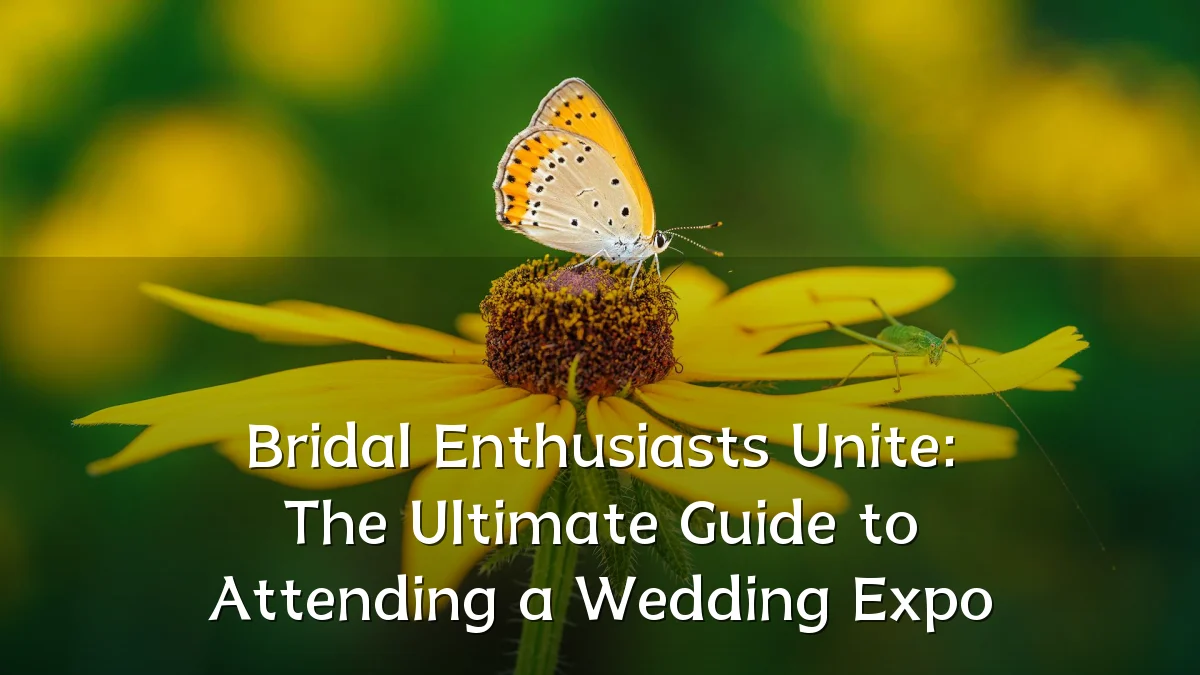 Bridal Enthusiasts Unite: The Ultimate Guide to Attending a Wedding Expo