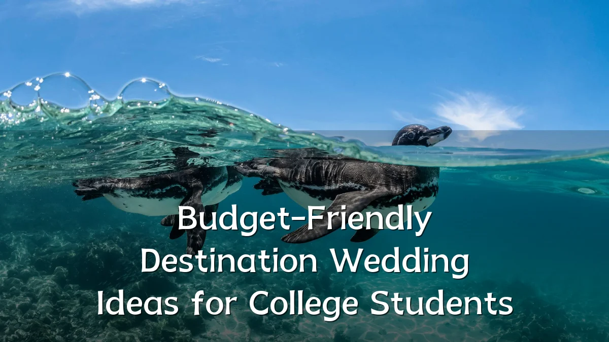 Budget-Friendly Destination Wedding Ideas for College Students