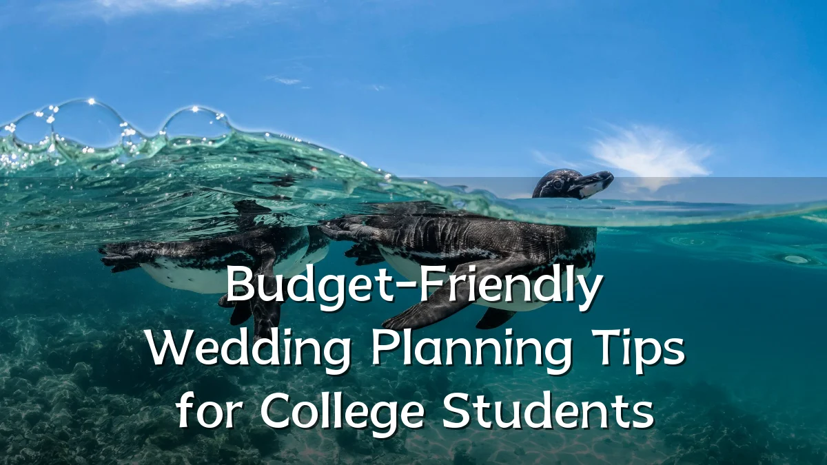 Budget-Friendly Wedding Planning Tips for College Students