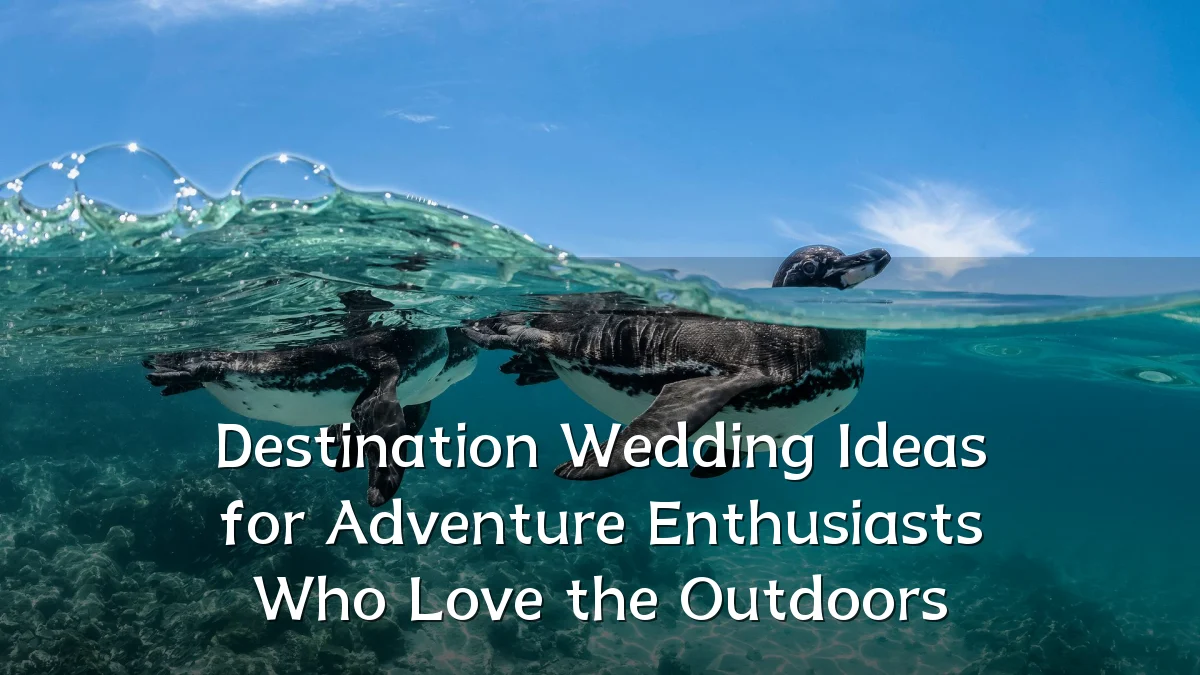 Destination Wedding Ideas for Adventure Enthusiasts Who Love the Outdoors