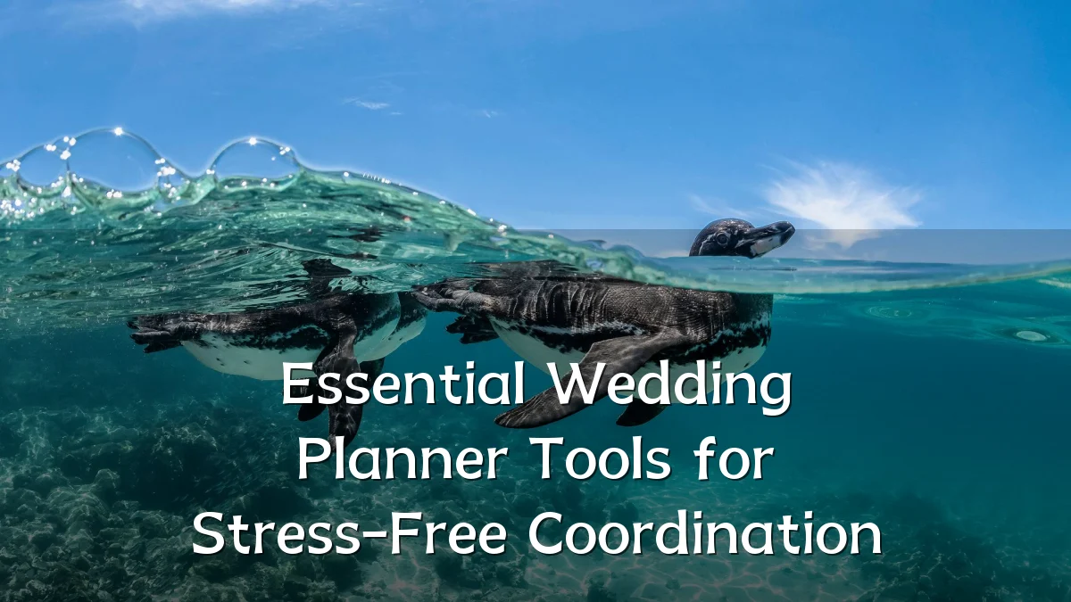 Essential Wedding Planner Tools for Stress-Free Coordination