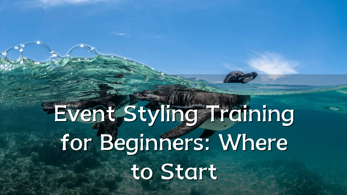 Event Styling Training for Beginners: Where to Start