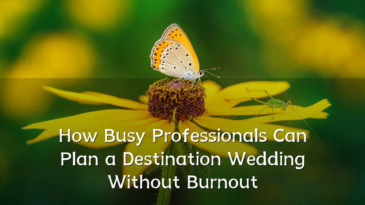 How Busy Professionals Can Plan a Destination Wedding Without Burnout