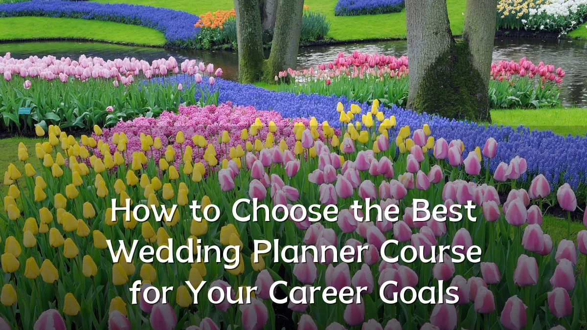 How to Choose the Best Wedding Planner Course for Your Career Goals