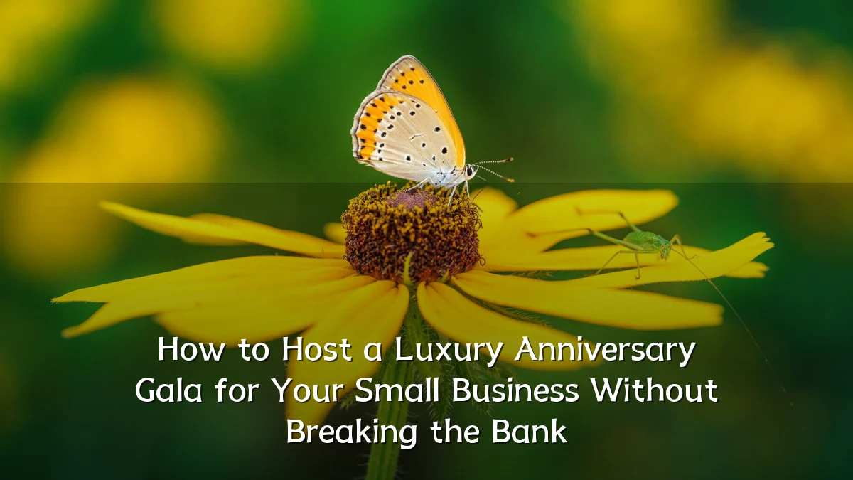 How to Host a Luxury Anniversary Gala for Your Small Business Without Breaking the Bank