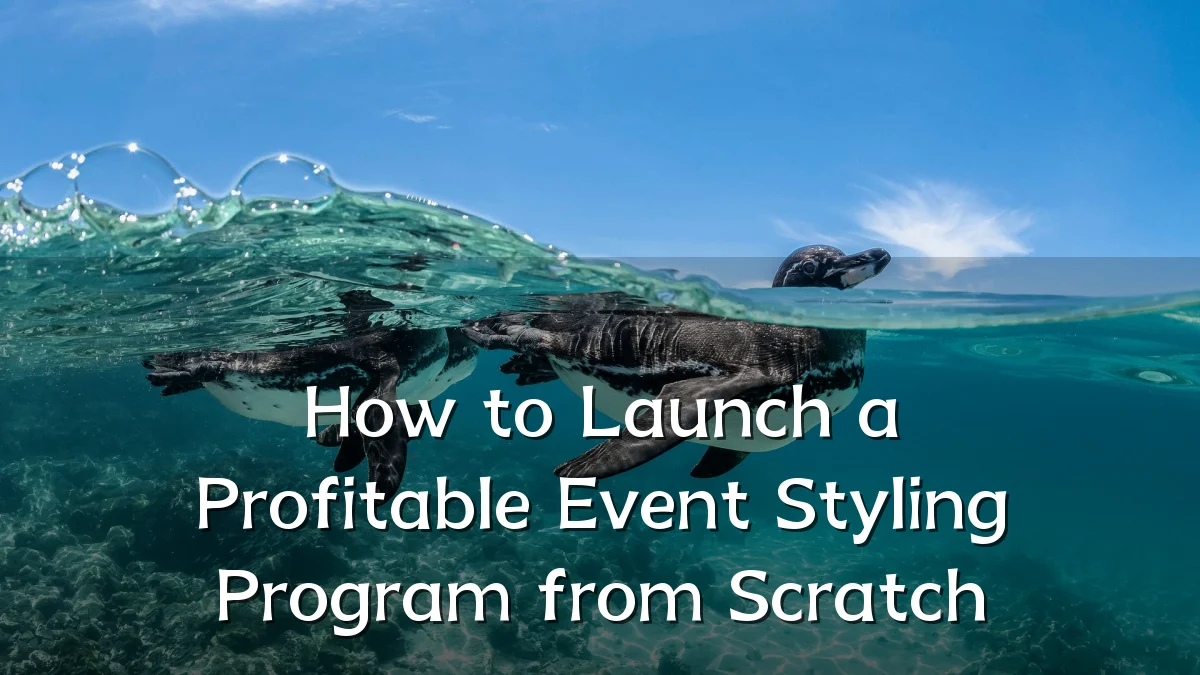 How to Launch a Profitable Event Styling Program from Scratch