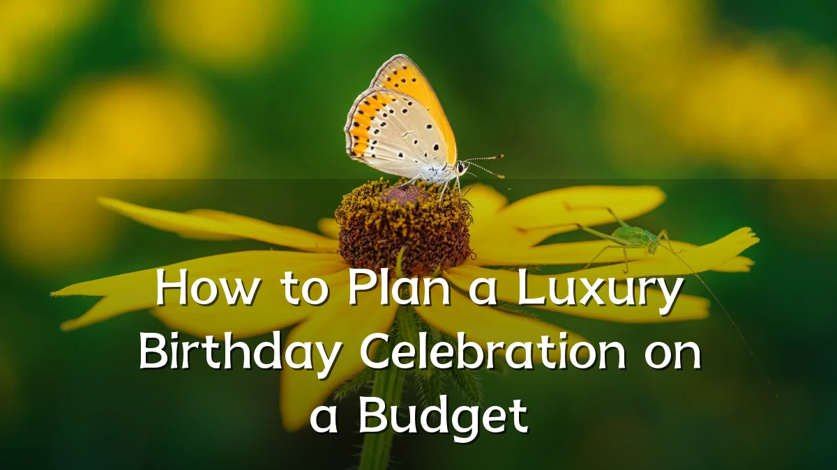 How to Plan a Luxury Birthday Celebration on a Budget