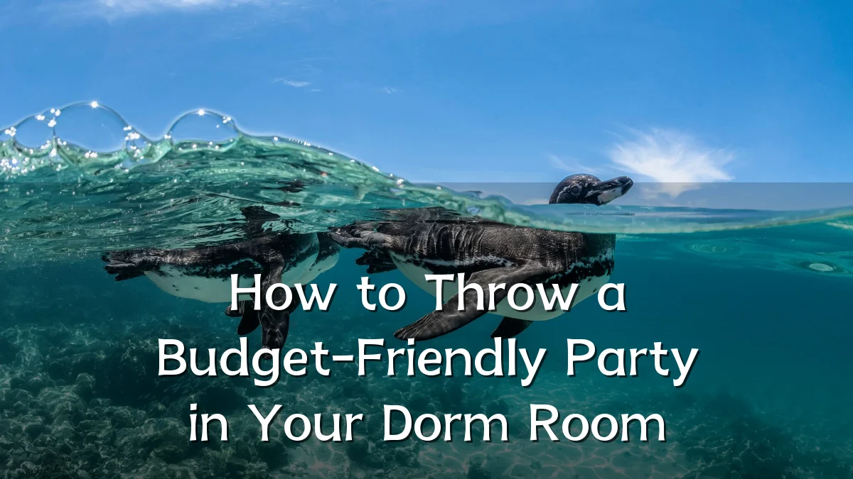 How to Throw a Budget-Friendly Party in Your Dorm Room