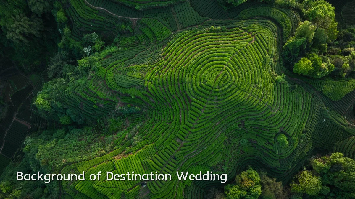 Background of Destination Wedding
