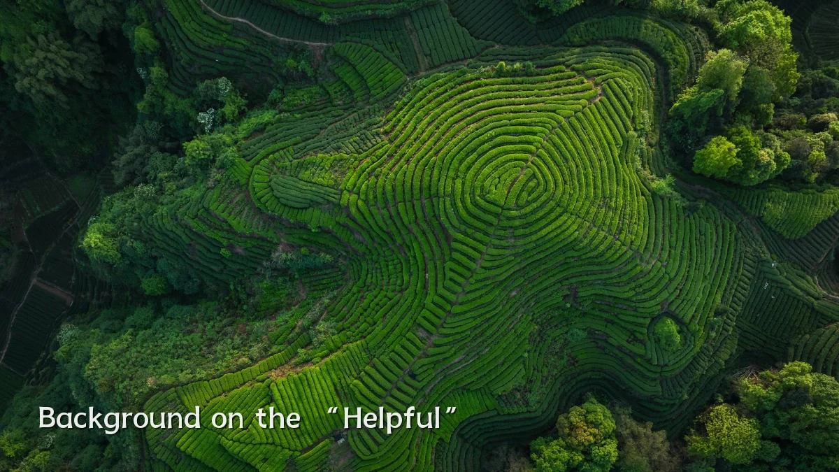 Background on the “Helpful”