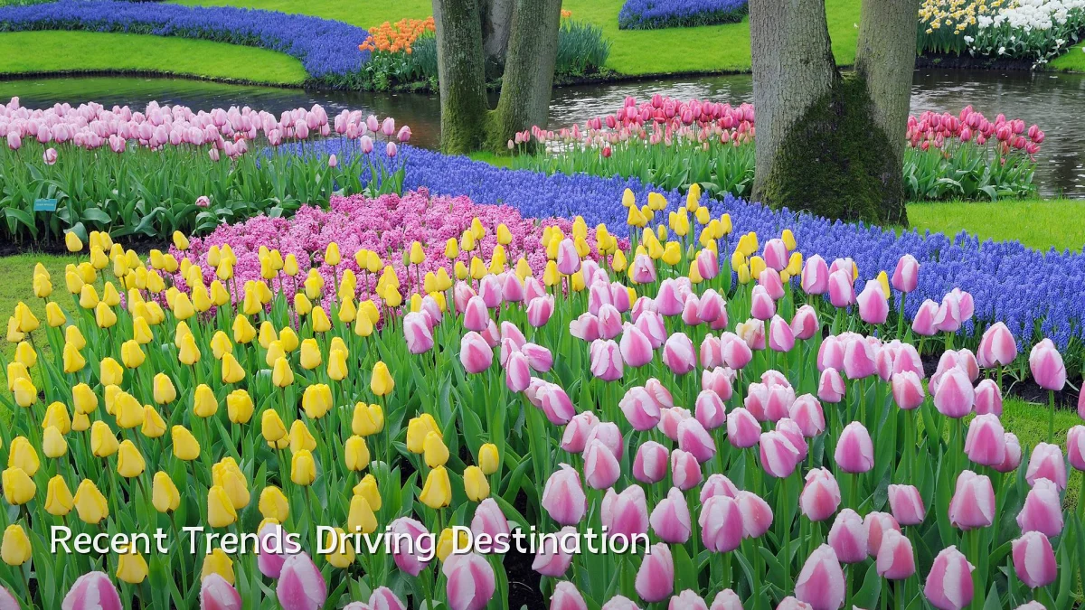 Recent Trends Driving Destination