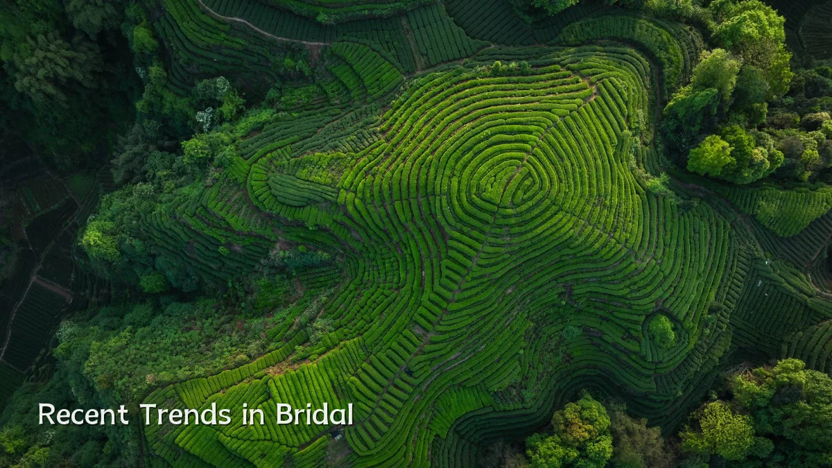 Recent Trends in Bridal