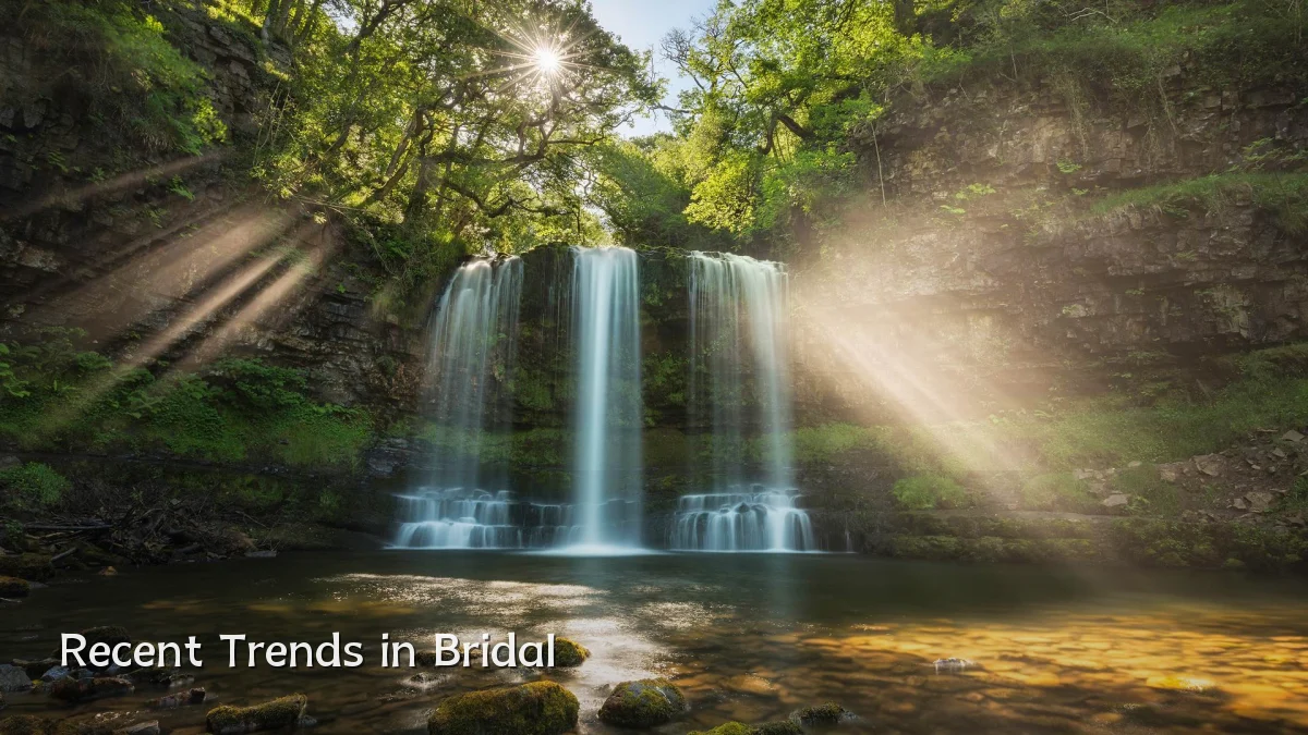 Recent Trends in Bridal
