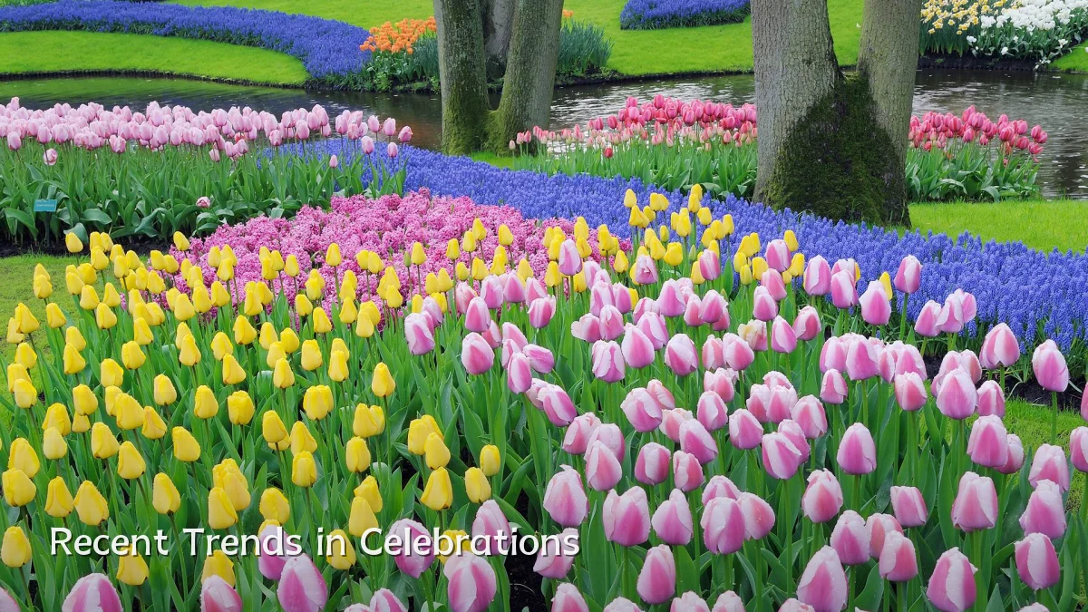 Recent Trends in Celebrations