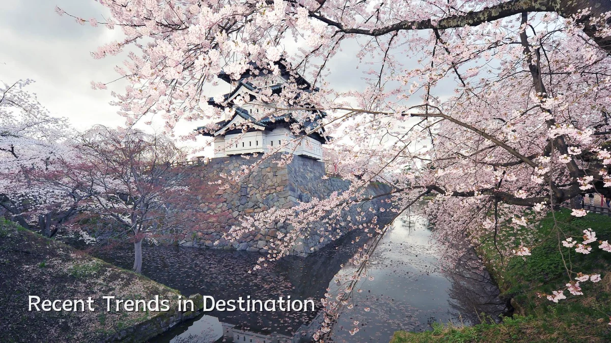 Recent Trends in Destination