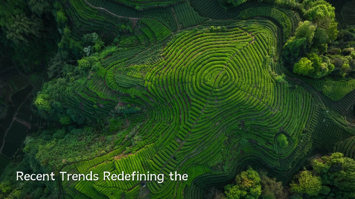 Recent Trends Redefining the