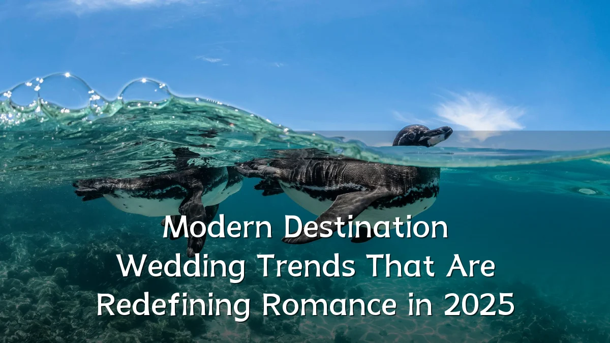 Modern Destination Wedding Trends That Are Redefining Romance in 2025