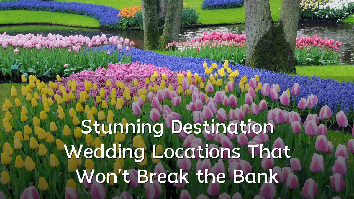 Stunning Destination Wedding Locations That Won't Break the Bank