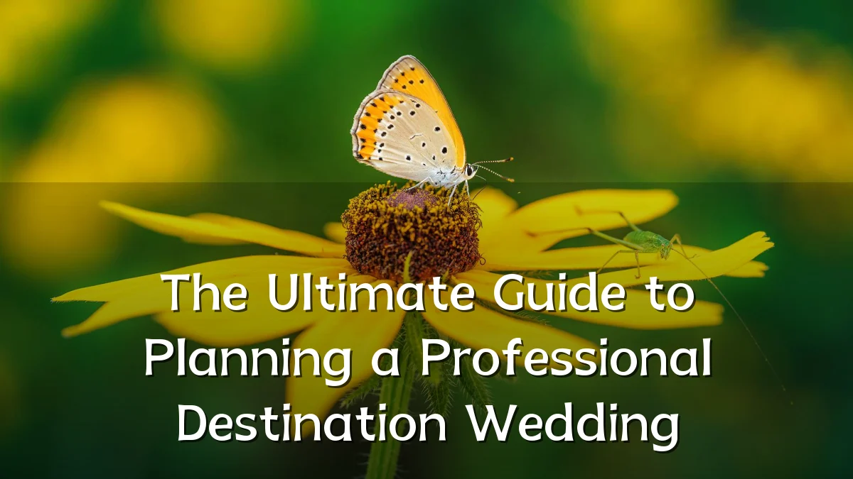 The Ultimate Guide to Planning a Professional Destination Wedding