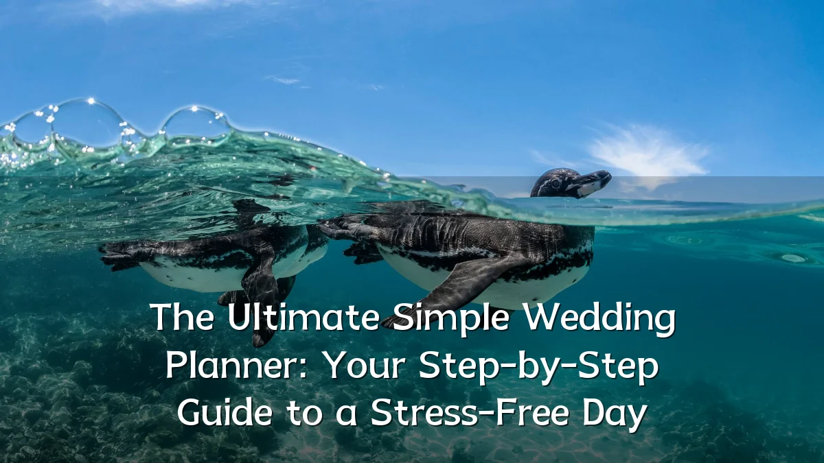 The Ultimate Simple Wedding Planner: Your Step-by-Step Guide to a Stress-Free Day