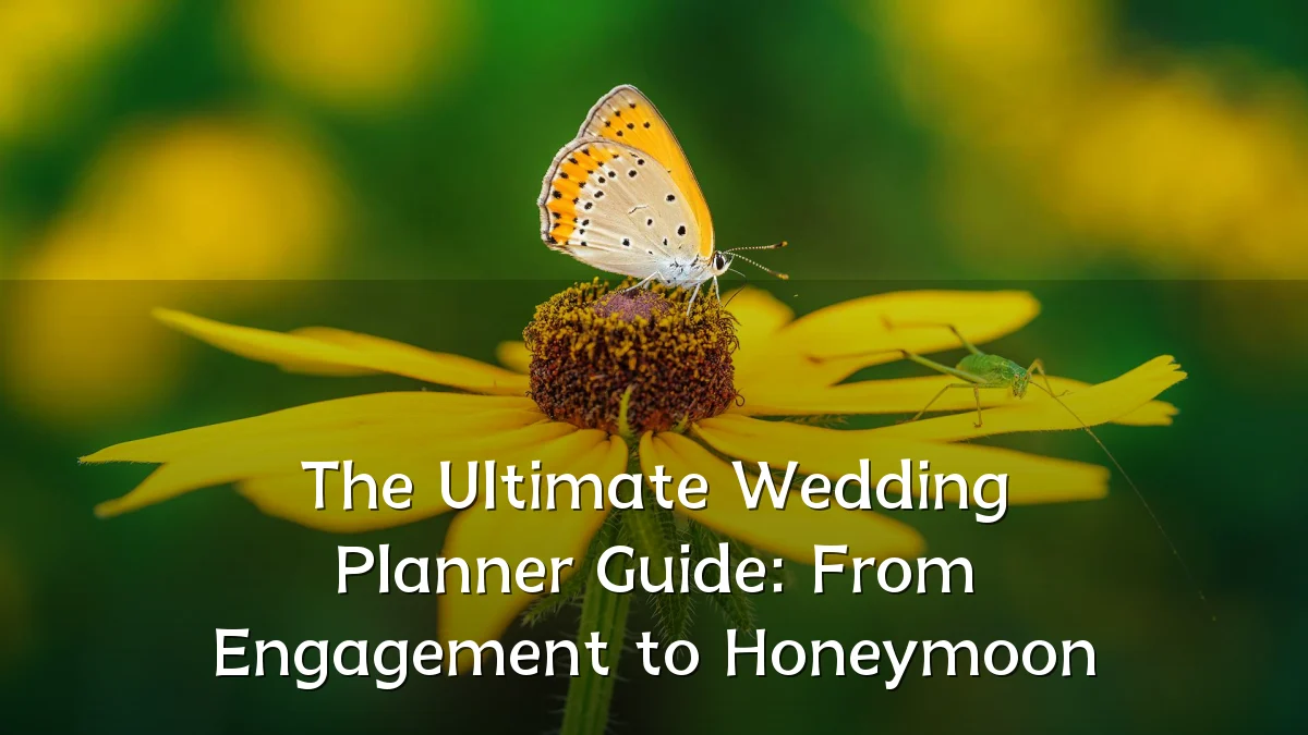 The Ultimate Wedding Planner Guide: From Engagement to Honeymoon