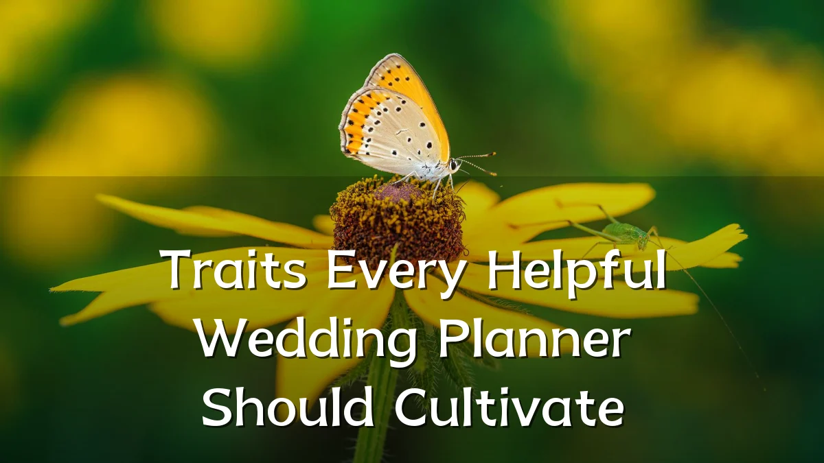 Traits Every Helpful Wedding Planner Should Cultivate