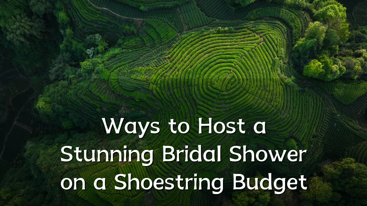 Ways to Host a Stunning Bridal Shower on a Shoestring Budget