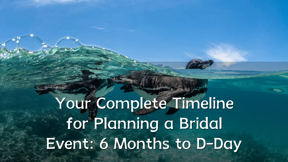Your Complete Timeline for Planning a Bridal Event: 6 Months to D-Day